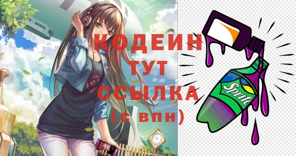 apvp Нягань