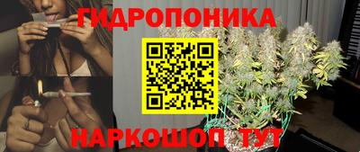 кокс Аргун