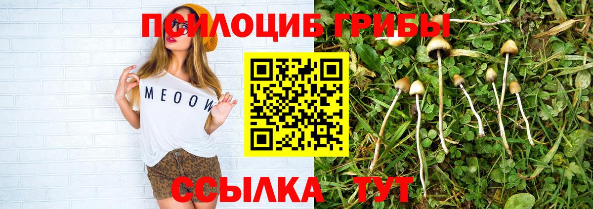 Галлюциногенные грибы MAGIC MUSHROOMS Вязьма