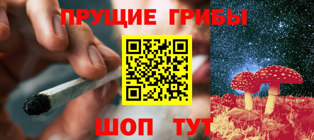 Псилоцибиновые грибы мухоморы  Вязьма  Псилоцибиновые грибы Psilocybine cubensis 